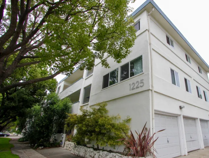 Lush trees at the home of 1225 Washington in Santa Monica, CA.
