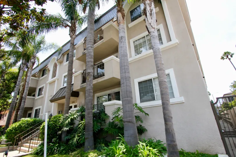Long trees in 1228 14th St Santa Monica reminding me off coconut trees.