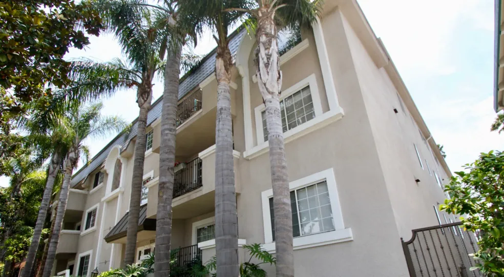The beautiful trees in 1228 14th st in santa monica that should very height.