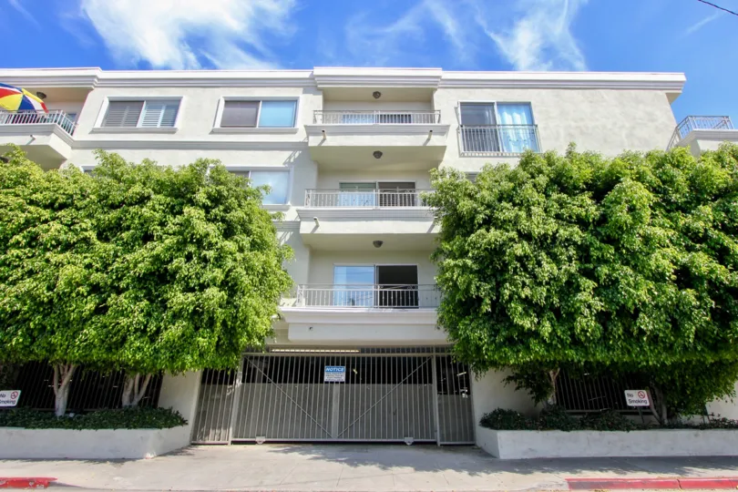 1440 23rd St in Santa Monica perfectly resembling me the Green-house.