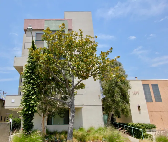 THE BUILDING LOOKS LIKE LITTLE OLD AND BALCONY ALSO AVAILABLE AT THIS APARTMENTS AND A TREE NEAR TO THE PLACE