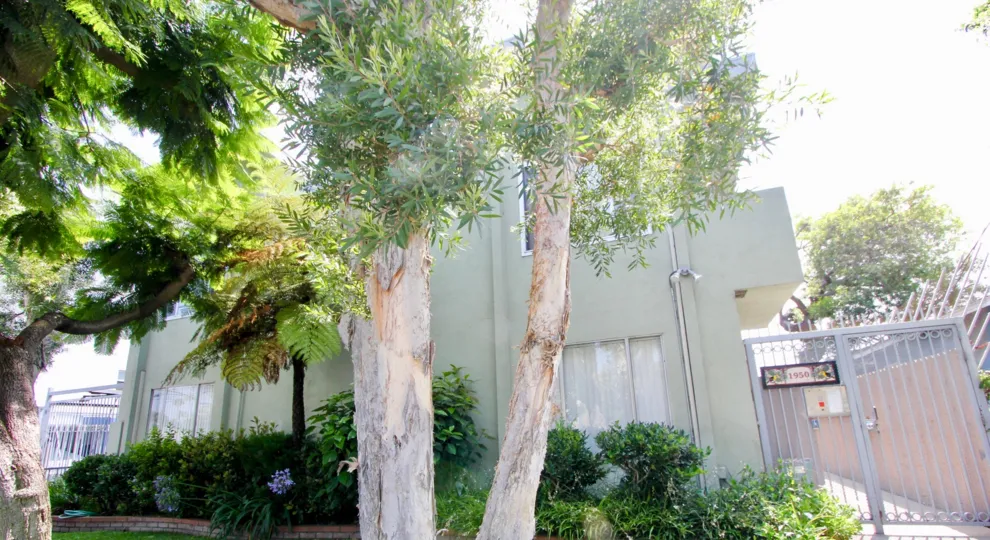 A side of a building with trees in focus at 1950 Cloverfield