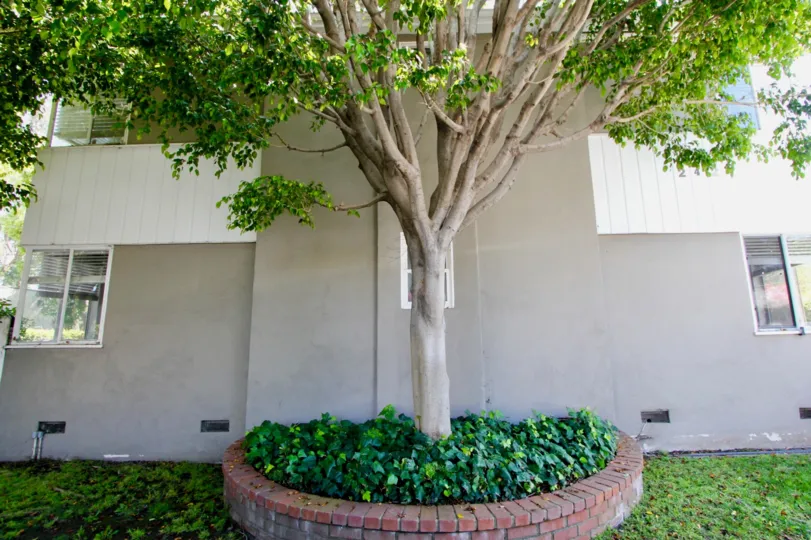 An amazing view of 2427 Centinela, Santa Monia, California