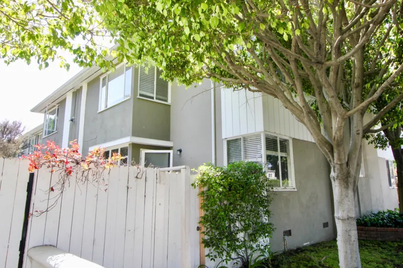 The house is located is good place and near to the house big trees and plants