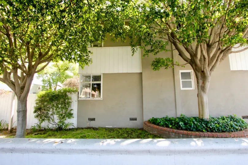 THE WALL OF A HOUSE WITH THE GLASS WINDOWS AND SOME TREES ALSO IN FRONT OF THE HOUSE WALL AT THE MORNING SUNSHINE TIME