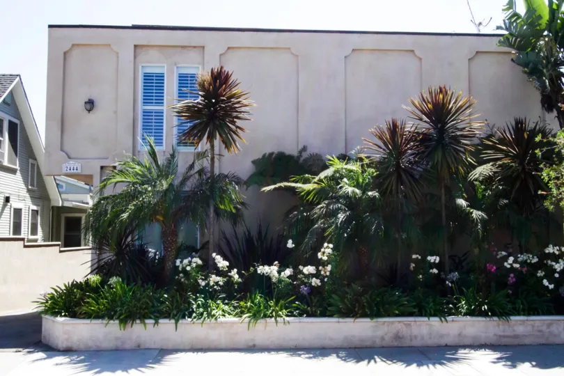 The landscaping at 2444 4th Street