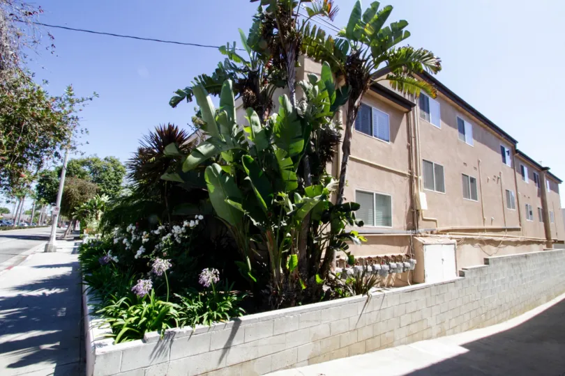 The corner of 2444 4th Street in Santa Monica