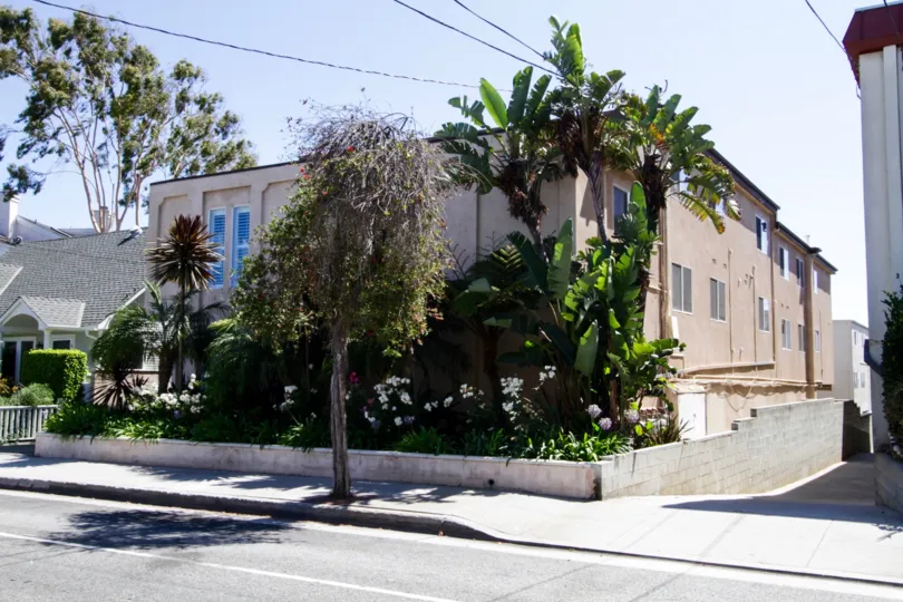 The view of 2444 4th Street in Santa Monica