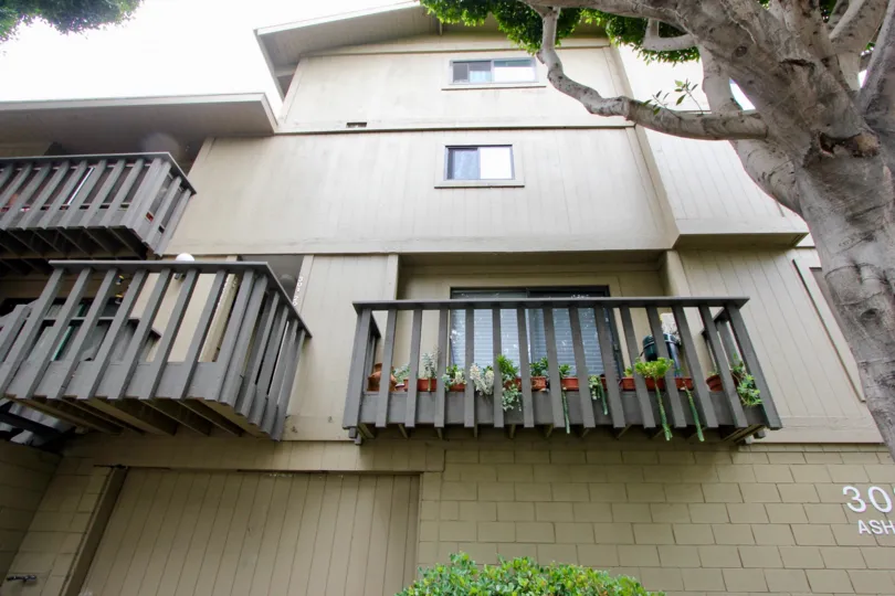 A big house in 302 Ashland which has three floors and also decorated with plants