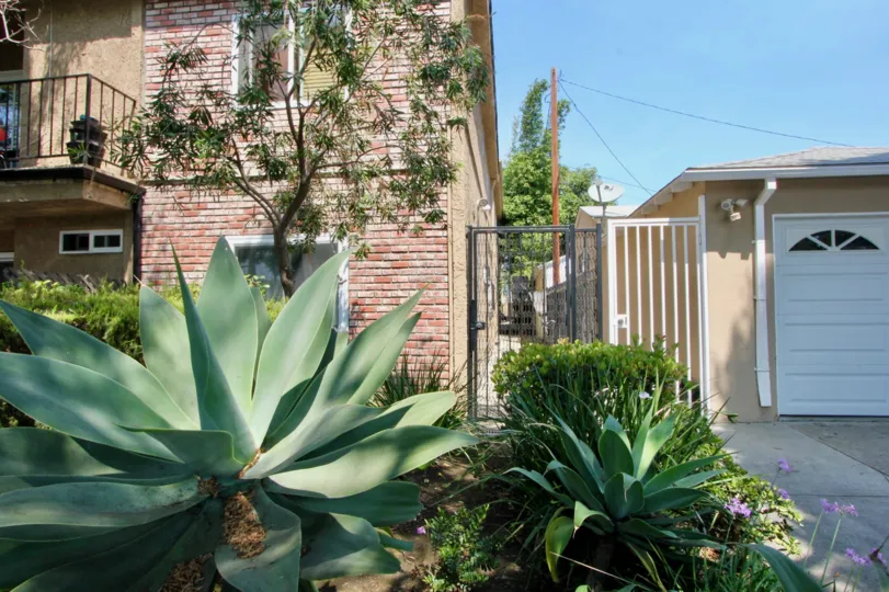 Many large plants surrounding a big home in santa monica