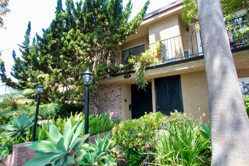 In a sunny day the house is looking beautiful and windows and doors are available lighting are good plants and trees
