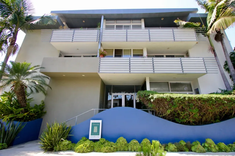 In a sunny day the apartment is beautiful and painting is good windows are made with glass big green leafy trees are near to the apartment