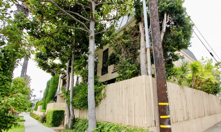 A really beautiful surrounding at 609 Washington, Santa Monica, California