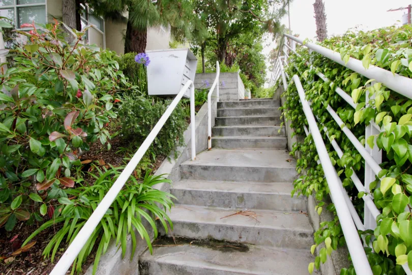 A sunny day the house upstairs at made by good steps and surround green leafy trees and plants