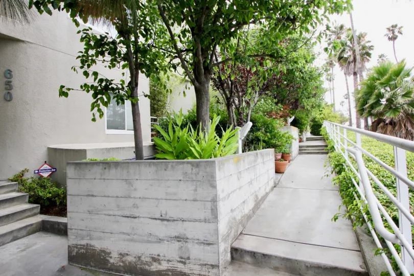A cloudy day at 650 Pacific, with a front garden and tons of palm trees.