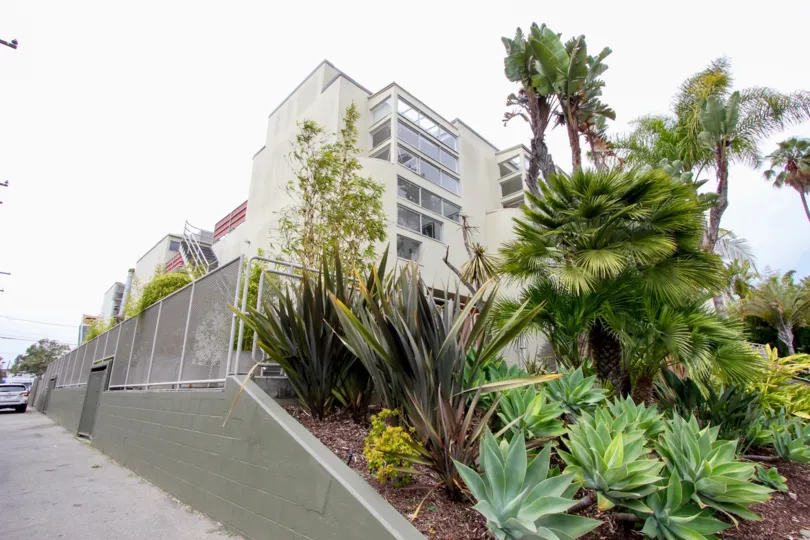 A wounderful house in 821 Bay St which was builted with beautiful glasses and also decorated with plants