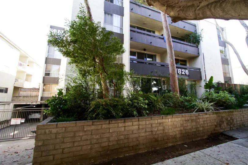 The landscaping seen at 826 2nd Street