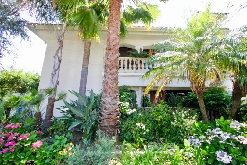 Looking at the garden view of 828 5th St in Santa Monica, CA
