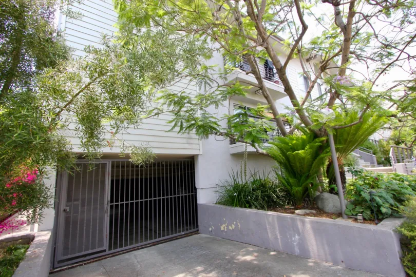 What makes 832 Euclid thick is the simplicity and greenery, Only in Santa Monica, California