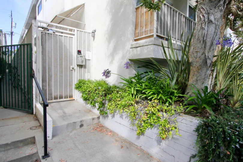 white house with garden and green tree in 837 10th St