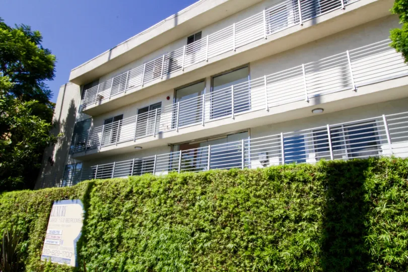 The hedges around 843 4th Street in Santa Monica