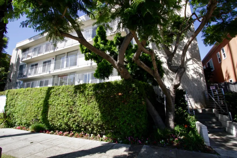 The walk in front of 843 4th Street in Santa Monica