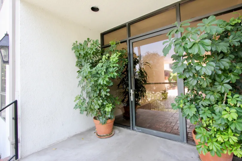Tall green plants to greet you outside this 14th st community