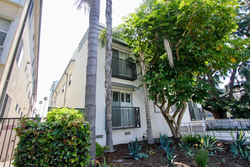 The front yard of 924 5th St of Santa Monica, Ca with trees and other plants