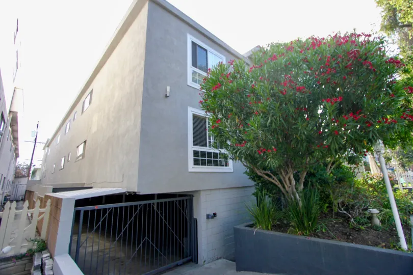 Awesome view of 944 11th St with it's floral plants, Santa Monica, California