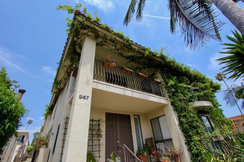 The house is built good condition, walls of the house is growing plant with green leaves