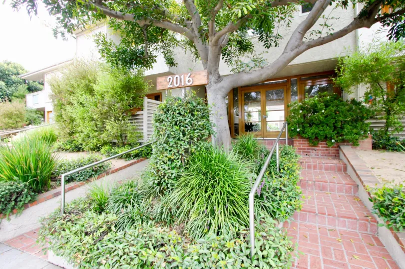 A house in santa monica the front parts should be decorated with grass.