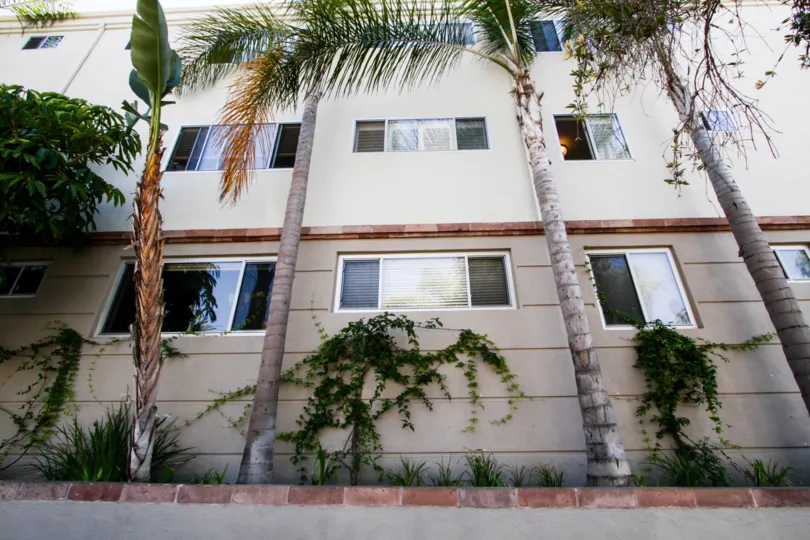 The windows at Bay West in Santa Monica