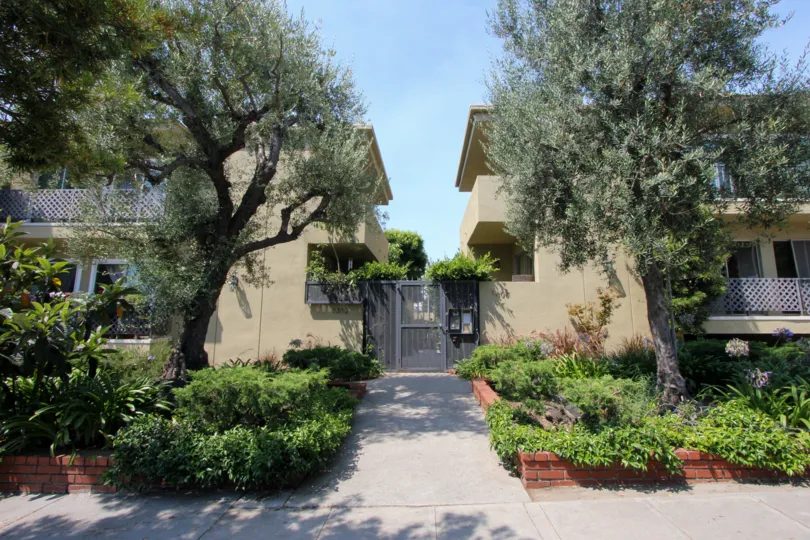 A BEAUTIFUL HOUSE WITH FULL WALL DECORATION AND A GARDEN WITH VARIETY OF PLANTS