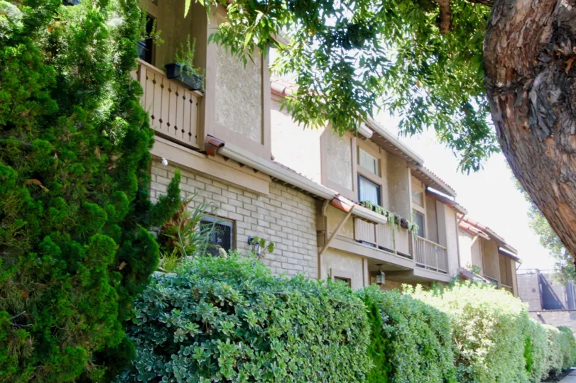 A beautiful day in the Berkeley Townhouse with some buildings and plants.