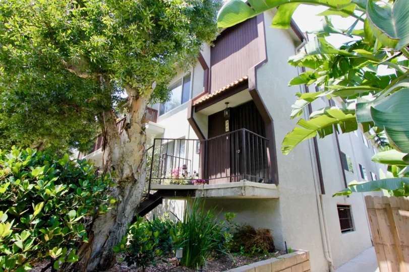 Modern looks and environmentally compliant looks of Blue Grass Manor, Santa Monica, california