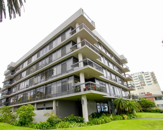 A sunny morning Boca Monica apartment is located in good place the walls are made with glass looking so good and atmosphere and green leafy plants