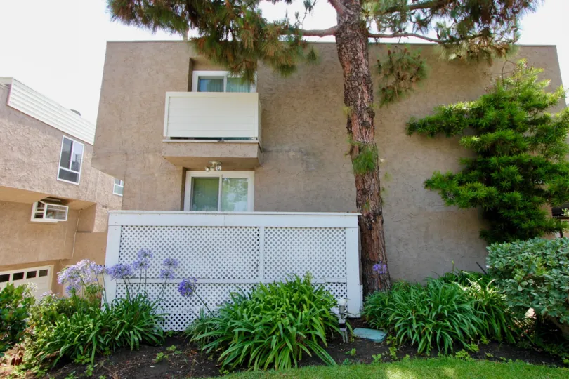 Big trees and plants around a large home in santa monica