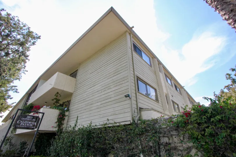 Impressive greenery, gated yard, condominiums, California Patios, Santa Monica, California
