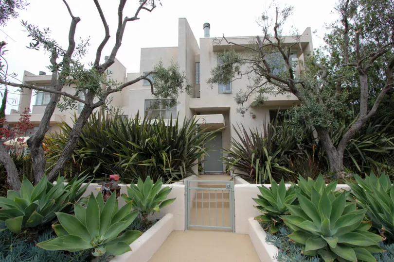 THE HOUSE IS CASA BAY IS IN FRONT OF WONDERFUL TREES