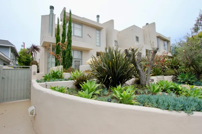 A house in casa day should be look like very rich because of it's decoration by plants.