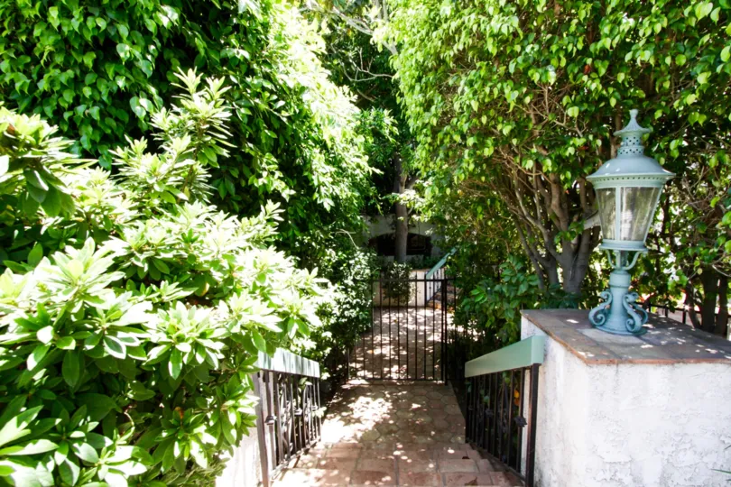 The walk into Coral Tree Villas
