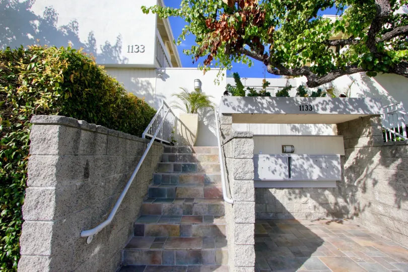 A beautiful day in the Douglas Park with a stair and tree.