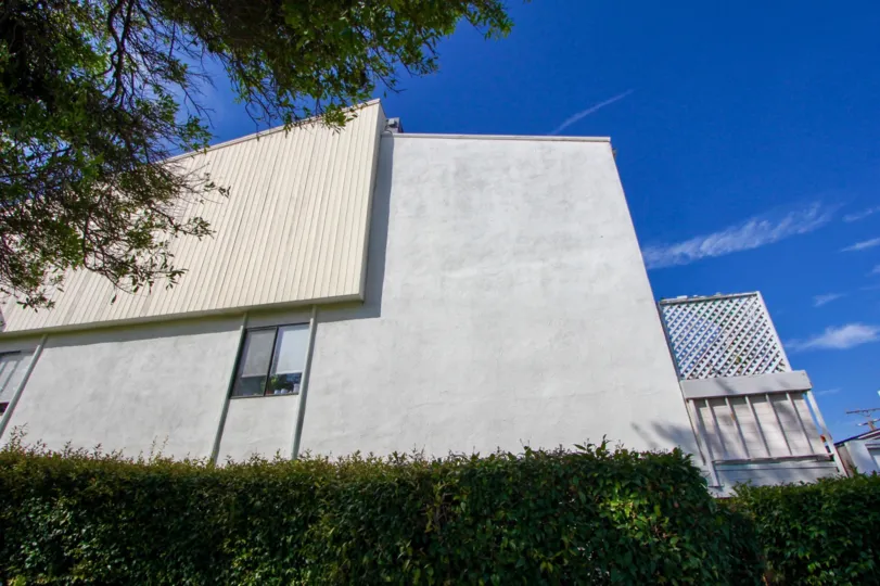 THE PLACE LOOKS LIKE A STORAGE AND A GLASS WINDOW ALSO AVAILABLE SOME PLANTS NEAR TO THE PLACE AT MORNING TIME