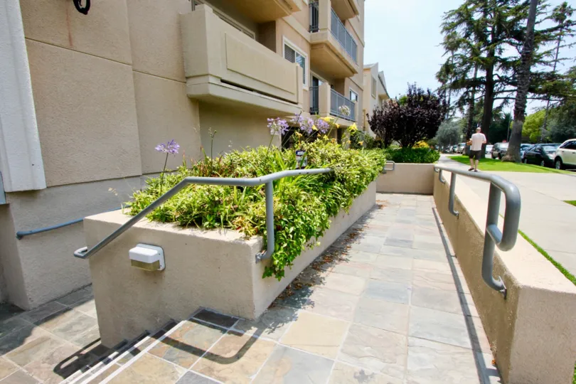 A great day in the El Patio with some plants and flower.