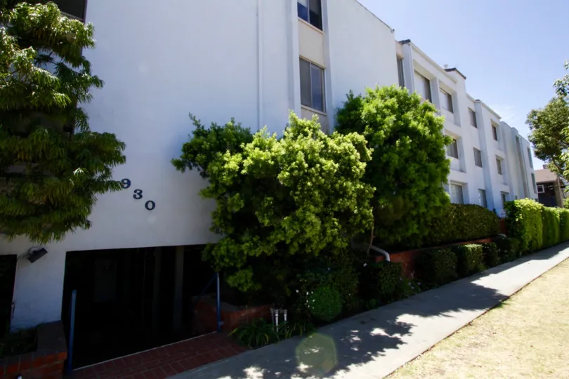 The landscaping seen around Elegance Santa Monica