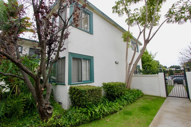 Blue windows and trees at Euclid Condominiums on an overcast day in Santa Monica, CA