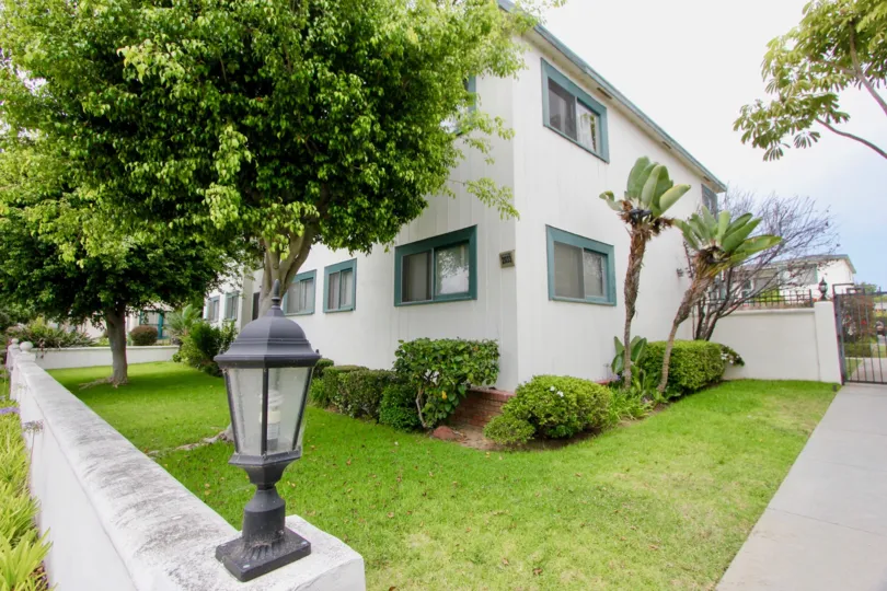 The house is built by the surrounding of good place and the trees and green leafy plants