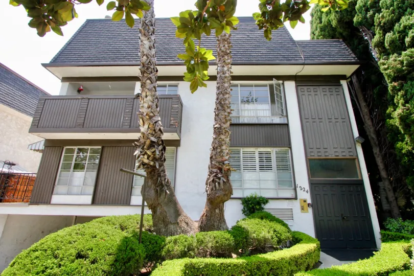 A Eucid Manor home has a beautiful tree and looks very greeny around the house