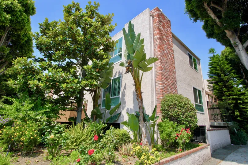 beautiful vegetation in Franklin & Colorado Townhouses