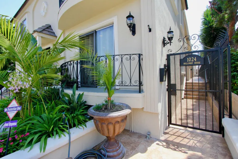 a beautiful house with full wall decoration and a garden with variety of plants